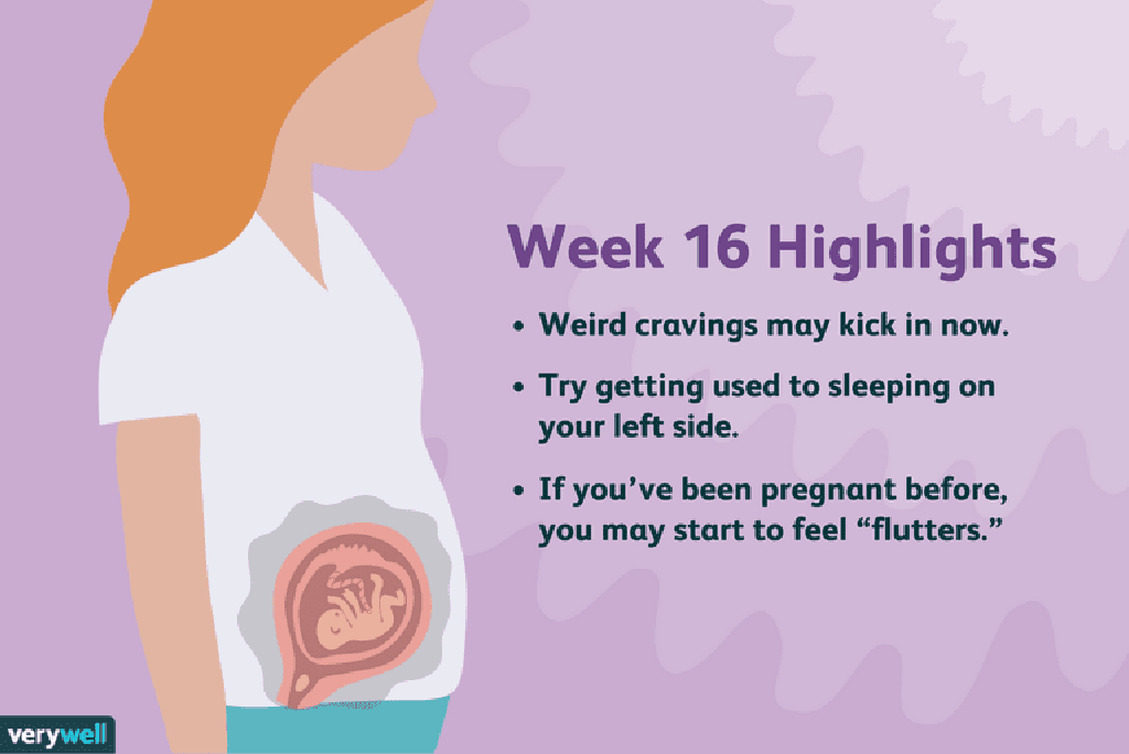 Kira minggu kehamilan cara 4+ Cara