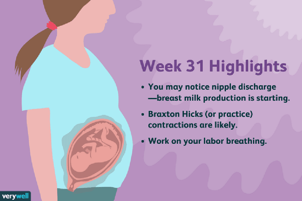 U 40. tjednu bebe teže otprilike 3400 grama, a dugačke su oko 51 centimetar.